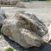 Budakalászi mészkő szikla